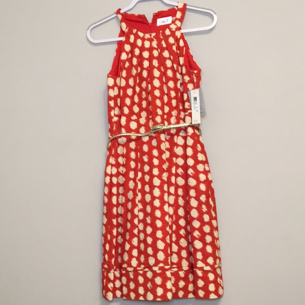 Eliza J dress